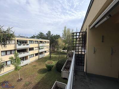 Wohnung kaufen in 1230 Wien