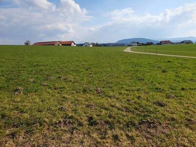 Gewerbeobjekt kaufen in 5211 Lengau