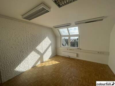 Gewerbeobjekt mieten in 1230 Wien (Bild 2)