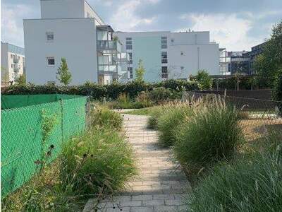 Terrassenwohnung mieten in 3100 St. Pölten (Bild 5)