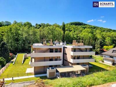 Eigentumswohnung in 2391 Kaltenleutgeben (Bild 2)