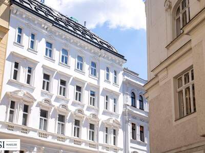 Wohnung kaufen in 1090 Wien