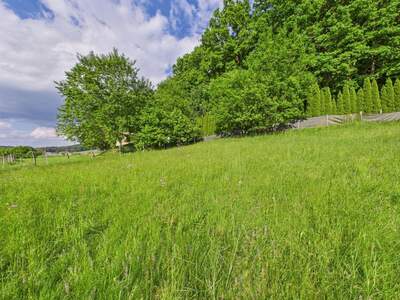 Grundstück kaufen in 8230 Eggendorf (Bild 4)