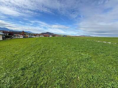 Grundstück kaufen in 5300 Hallwang