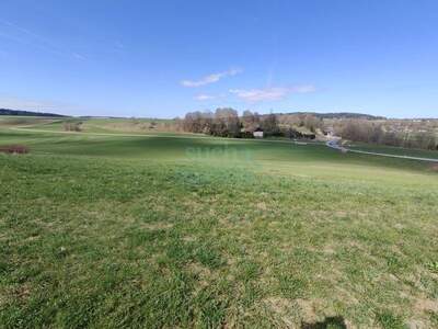 Grundstück kaufen in 4851 Gampern