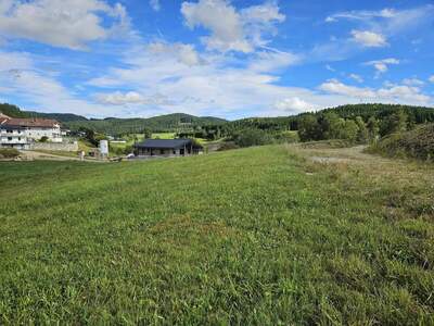 Grundstück kaufen in 4272 Weitersfelden