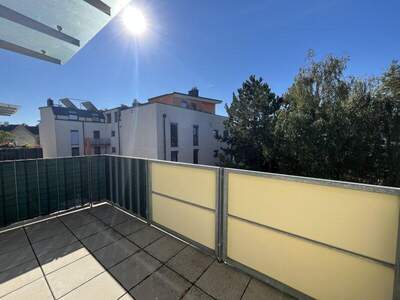 Terrassenwohnung mieten in 2232 Deutsch (Bild 3)