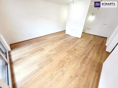 Terrassenwohnung kaufen in 1230 Wien (Bild 4)