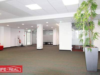 Gewerbeobjekt mieten in 4020 Linz