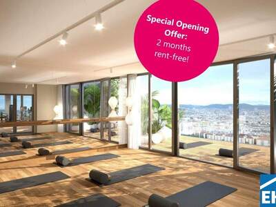 Terrassenwohnung mieten in 1200 Wien (Bild 1)