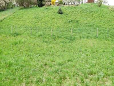 Grundstück kaufen in 8101 Gratkorn (Bild 2)