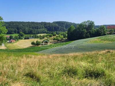 Grundstück kaufen in 8324 Kirchberg