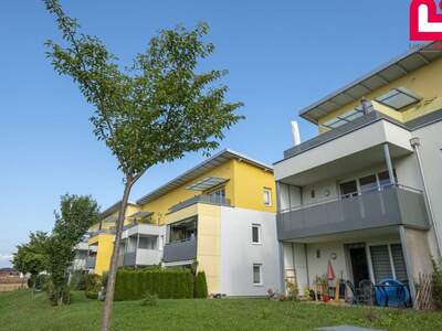 Mietwohnung in 4690 Rüstorf (Bild 1)