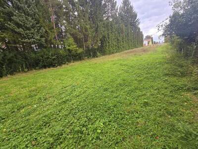 Grundstück kaufen in 2191 Gaweinstal