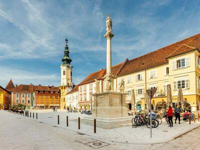 Grundstück kaufen in 8490 Bad Radkersburg (Bild 5)