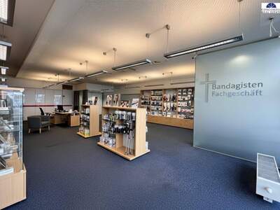 Gewerbeobjekt mieten in 1110 Wien