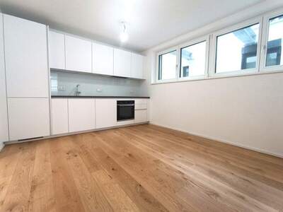 Terrassenwohnung mieten in 1050 Wien (Bild 1)