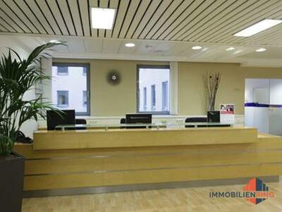 Gewerbeobjekt mieten in 1060 Wien (Bild 2)