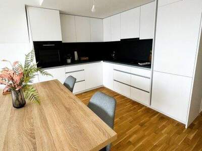 Terrassenwohnung kaufen in 1220 Wien (Bild 4)