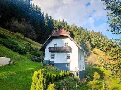 Haus kaufen in 9451 Preitenegg