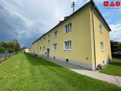 Wohnung mieten in 4710 Grieskirchen (Bild 1)