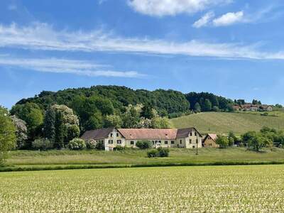 Haus kaufen in 8271 Bad Waltersdorf