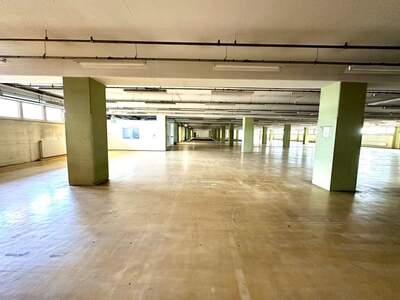 Gewerbeobjekt mieten in 8055 Graz (Bild 1)