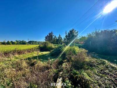 Haus kaufen in 2273 Hohenau