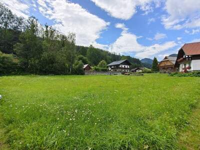 Grundstück kaufen in 8622 Etmißl (Bild 3)