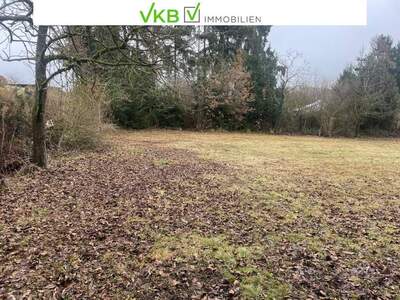 Grundstück kaufen in 4211 Alberndorf