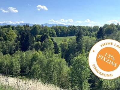 Anlageobjekt kaufen in 4840 Vöcklabruck