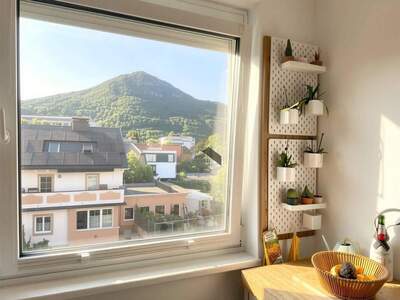 Wohnung kaufen in 5020 Salzburg