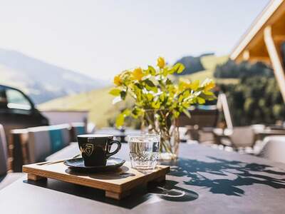 Anlageobjekt kaufen in 5754 Hinterglemm (Bild 2)