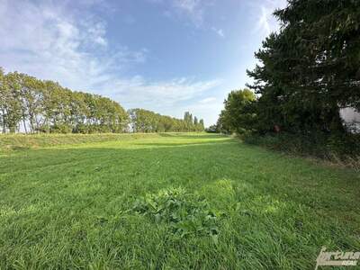 Grundstück kaufen in 3433 Königstetten