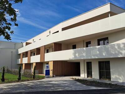 Gewerbeobjekt kaufen in 7100 Neusiedl (Bild 3)
