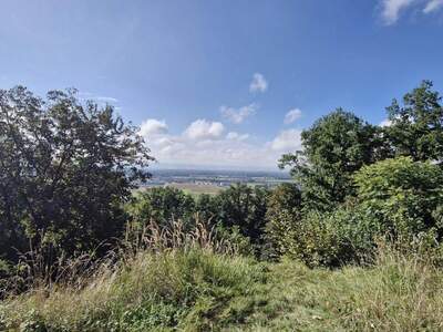 Grundstück kaufen in 4101 Feldkirchen