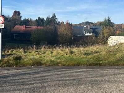 Grundstück kaufen in 4170 Haslach