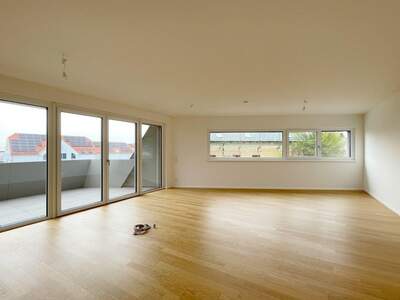 Wohnung mit Balkon kaufen in 2345 Brunn (Bild 3)