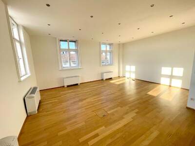 Gewerbeobjekt mieten in 1010 Wien (Bild 2)