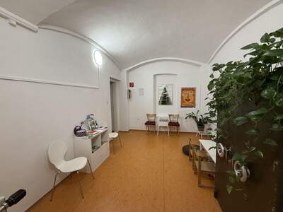 Gewerbeobjekt mieten in 2700 Wiener Neustadt (Bild 5)