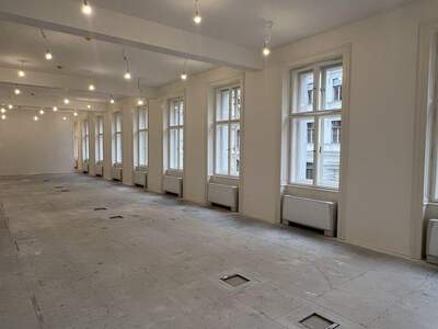 Gewerbeobjekt mieten in 1010 Wien (Bild 3)