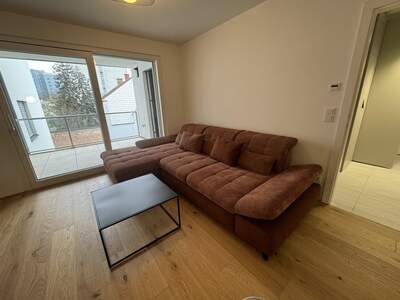 Terrassenwohnung mieten in 1210 Wien (Bild 1)