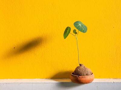 Wohnung kaufen in 6063 Rum