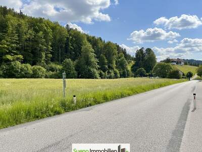 Grundstück kaufen in 4645 Grünau (Bild 5)