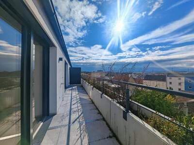 Wohnung kaufen in 2020 Hollabrunn