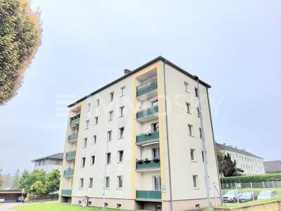 Terrassenwohnung kaufen in 4501 Neuhofen (Bild 3)