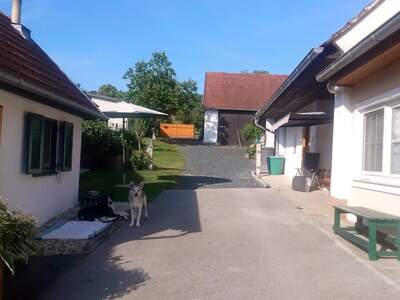 Haus kaufen in 7511 Mischendorf