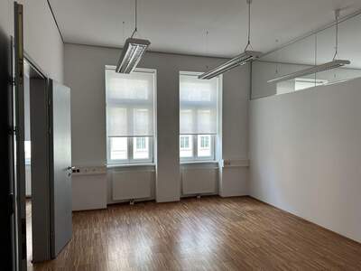 Gewerbeobjekt mieten in 1190 Wien (Bild 3)
