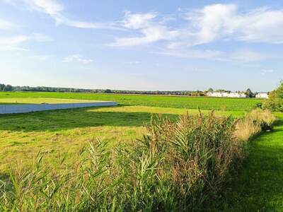 Grundstück kaufen in 3423 Wördern