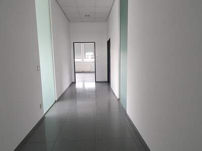 Gewerbeobjekt mieten in 8051 Graz (Bild 4)